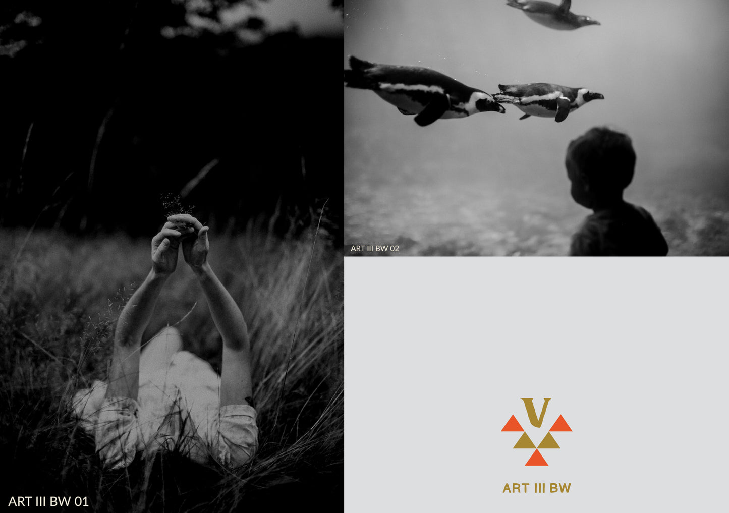 ART COLLECTIONS BUNDLE | FIVE PACKS | 30% OFF