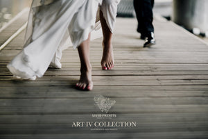 VIVID PRESETS | ART IV COLLECTION