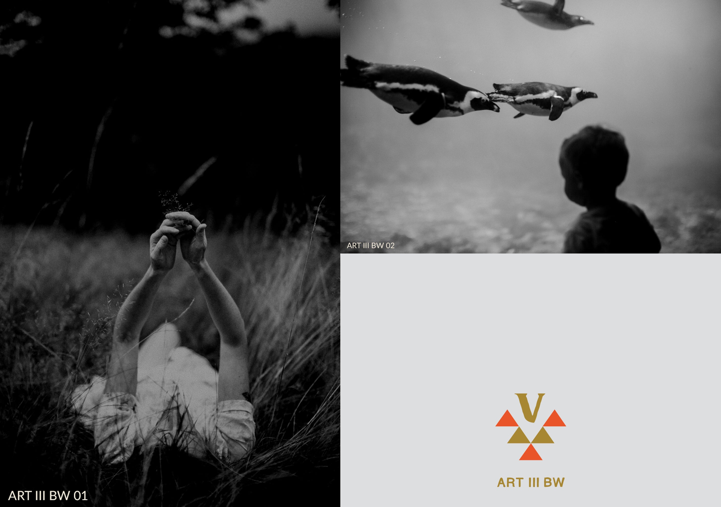 ART III + ART IV BUNDLE | SAVE 25%