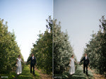 wedding photography, lightroom presets, acr presets, lightroom presets wedding, best lightroom presets,