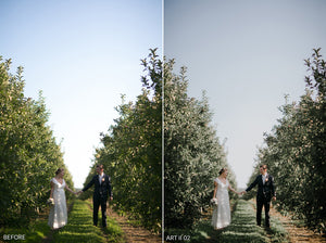 wedding photography, lightroom presets, acr presets, lightroom presets wedding, best lightroom presets,