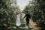 ART II COLLECTION