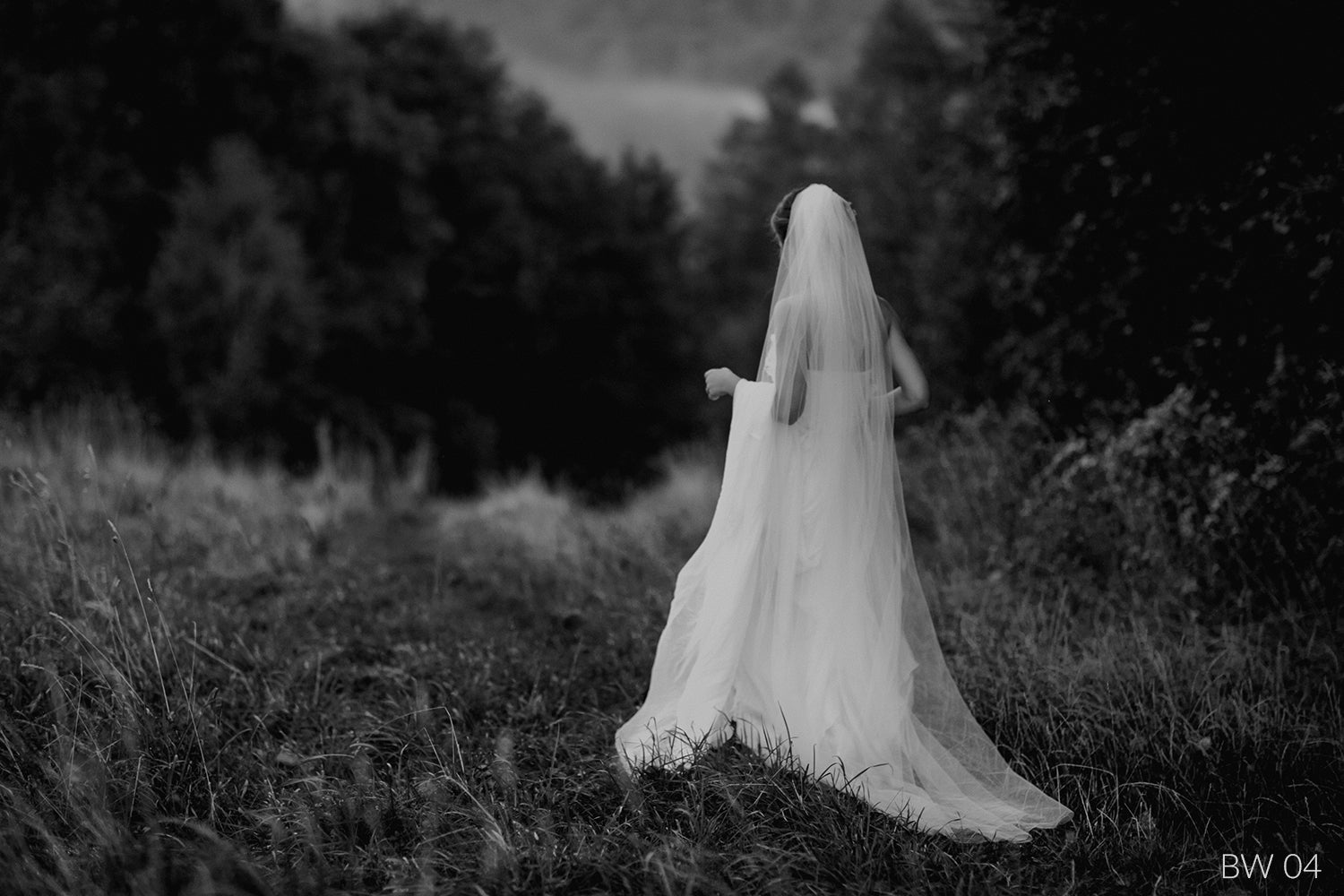 B&W COLLECTION