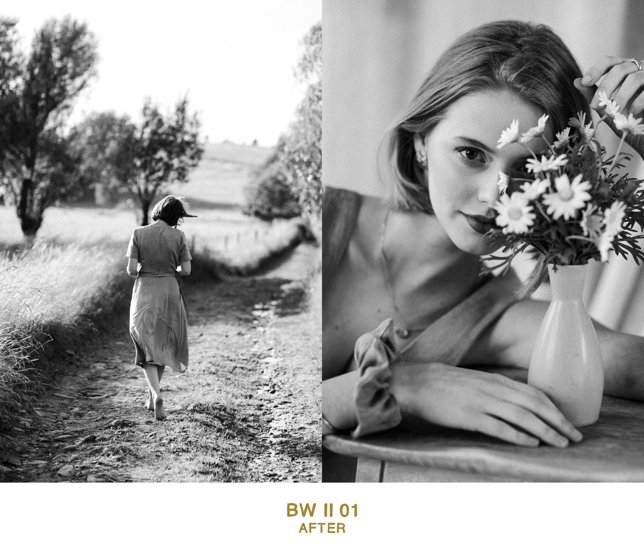 B&W II COLLECTION