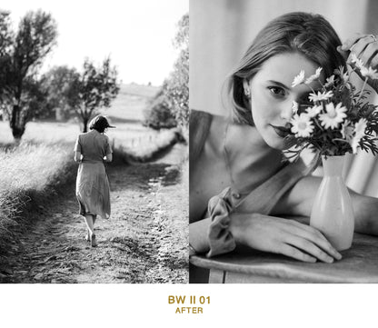 B&W II COLLECTION