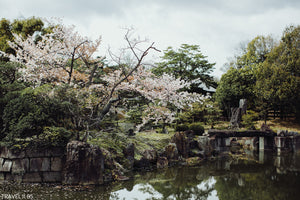 travel, travel photography, lightroom presets, acr presets, adobe lightroom, landscape,