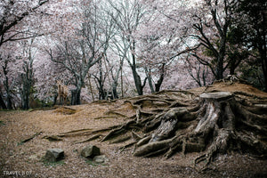 travel, travel photography, lightroom presets, acr presets, adobe lightroom, landscape,
