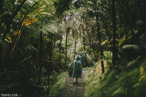 TRAVEL II COLLECTION